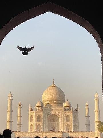 Beeindruckend: Das Taj Mahal