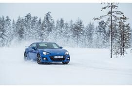 Subaru - Ausverkauft Subaru - Ausverkauft