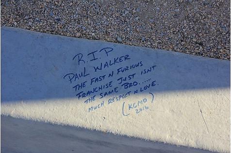 Paul Walker (114)
