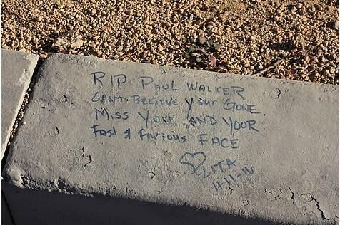Paul Walker (116)