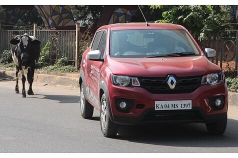 Auch Kühe interessieren ich für den Renault Kwid