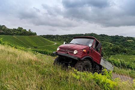 Panorama: Weinbau mit einem Unimog - Veteran im Wingert