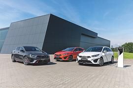 Kia Ceed   - Nase neu