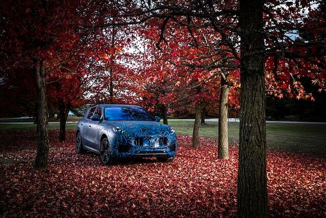 Der lange Radstand – mit 2,90 Metern fast genauso groß wie beim eine Klasse höher angesiedelten Levante – lässt den Grecale für Maserati-Verhältnisse fast schon zum Raumgleiter mutieren