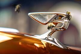 Bentley-Strategie - Ab 2030 keine Verbrenner mehr