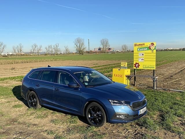 Skoda Octavia Combi iV