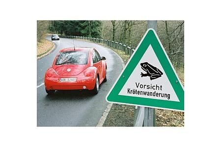 Mehr als 60 Kilometer Schutzzäune für Amphibien