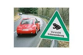Mehr als 60 Kilometer Schutzzäune für Amphibien