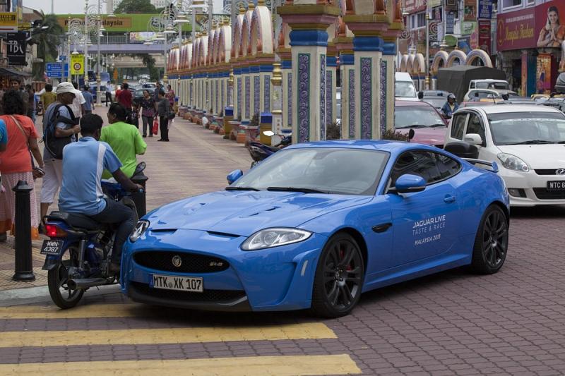 Jaguar Taste and Race