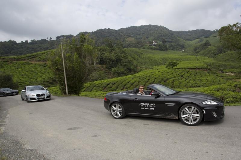 Jaguar Taste and Race