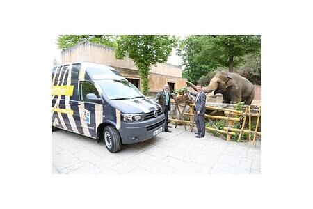 Zwei neue Arbeitstiere für den ZOO Hannover