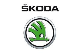 Skoda: Peter Berggren neuer Leiter Service