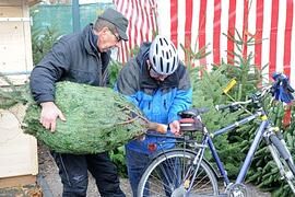 Christbaum-Transport per Fahrrad
