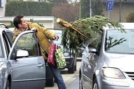Wohin mit der Tanne nach dem Fest?