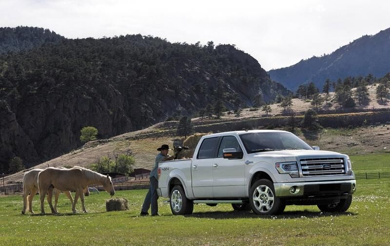 Ford F-150 Jahrgang 2014