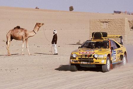 Löwen im Museum: Peugeot zeigt seine Rallye-Geschichte