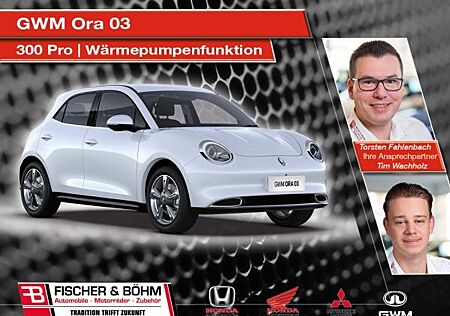 GWM Ora 03 | 300 PRO Wärmepumpenfunktion