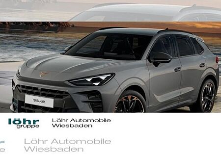 Cupra Terramar VZ 2.0 TSI DSG 4Drive ABGABE 12.2025