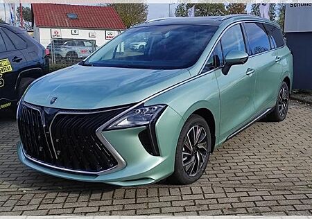 DFSK Dongfeng Forthing 4 Gummimatten/Zulassung und erste Inspektion gratis