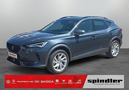 Cupra Formentor 2.0 TSI 4Drive DSG / Navi, LED, RFK