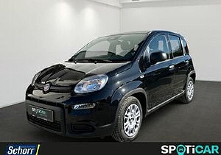 Fiat Panda 1.0 GSE Hybrid ***Sofort verfügbar