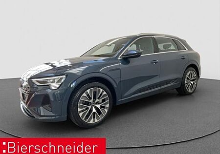 Audi Q8 e-tron 55 qu advanced AHK PANO MATRIX 21