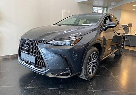 Lexus NX 350h Business Edition 2026 Modell