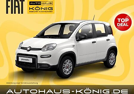 Fiat Panda Sunny Deal 🔆 | Citypaket | Einparkhilfe❗️