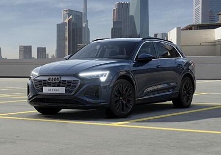 Audi Q8 e-tron 55 quattro S line MatrixLED Luft HuD Leder
