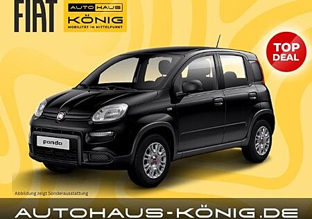 Fiat Panda | Citypaket | Inkl. Bereitstellungskosten ❗️