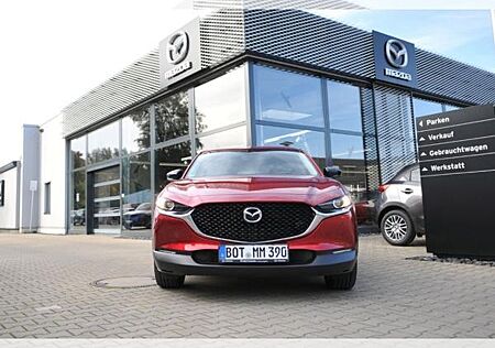 Mazda CX-30 Homura 2WD | RFK | LED | CarPlay | SHZ