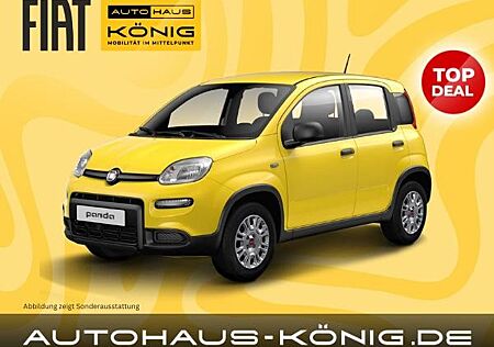 Fiat Panda Citypaket | Hot Summer Deal 🔥 | Reduzierte Bereitstellungskosten❗️