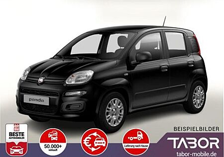 Fiat Panda MHEV 70 5"-DAB Temp PDC DigCo LaneA 5-Sitz