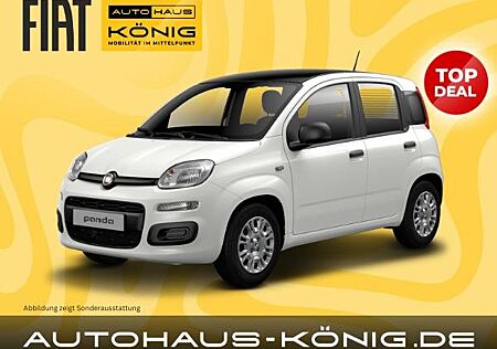 Fiat Panda Neues Modell | Citypaket | Sofort verfügbar❗️