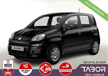 Fiat Panda MHEV 70 5"-DAB Temp PDC DigCo LaneA 5-Sitz