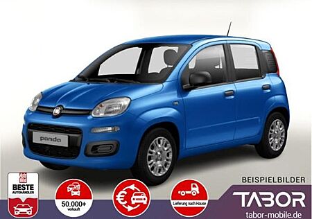 Fiat Panda MHEV 70 5"-DAB Temp PDC DigCo LaneA 5-Sitz