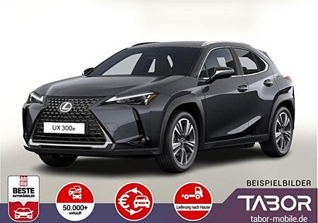 Lexus UX 300e h Luxury LED Nav MarkLev Kam SHZ eHK