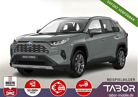 Toyota RAV 4 2.5 Hybrid 218 ECVT Team D el.HK SHZ DigC