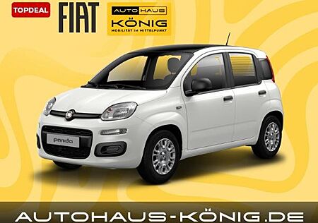 Fiat Panda Neues Modell | Citypaket | Sofort verfügbar❗