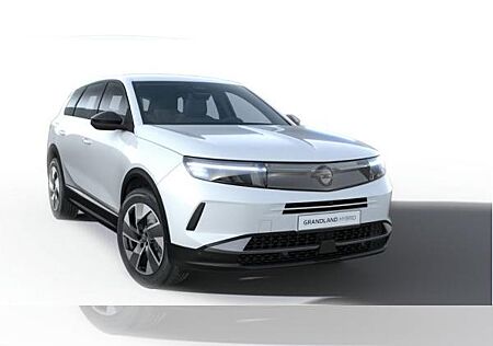 Opel Grandland Hybrid Edition eDCT ❗️Privatkunden❗️