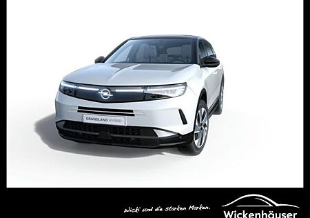 Opel Grandland GS MHEV **Gewerbehammer**