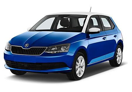Skoda Fabia Tour 1.0 TSI RFK/TMP/PDC/DAB+/SHZ/LED