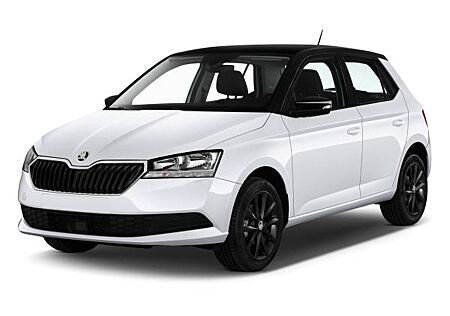Skoda Fabia DSG Selec LED SHZ Kam PDC SunS VirC 4J/60k