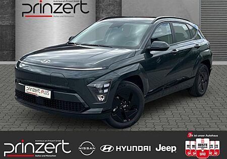 Hyundai Kona EV 49kWh Select CarPlay *Effizienz-Paket *SOFORT