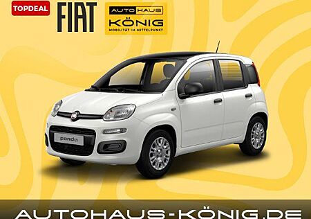 Fiat Panda Bicolore | Mit Einparkhilfe und Klimaanlage | Sofort verfügbar ❗️
