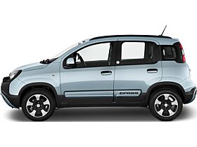 Fiat Panda Cross 5S PDC CarP/AndroidA PrivG 15Z NSW Fiat Panda Cross 5S PDC CarP/AndroidA PrivG 15Z NSW