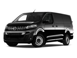 Opel Vivaro Kombi 177 AT8 XL 9S KlimaP ConnectP 2xST bild 1