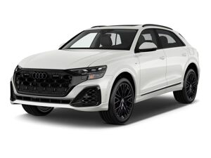 Audi Q8 Sportback e-tron S line 50 quattro ACC*MATRIX bild 1