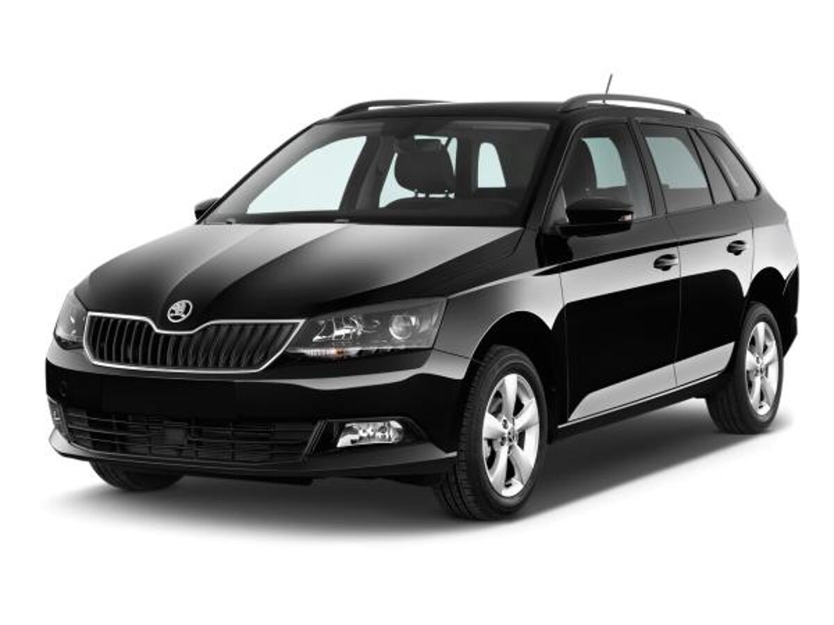 Skoda Fabia 1.0 TSI Selection LED GRA SHZ SmartLink bild