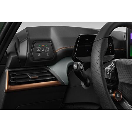 Cupra Born leasen